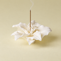 White Lily