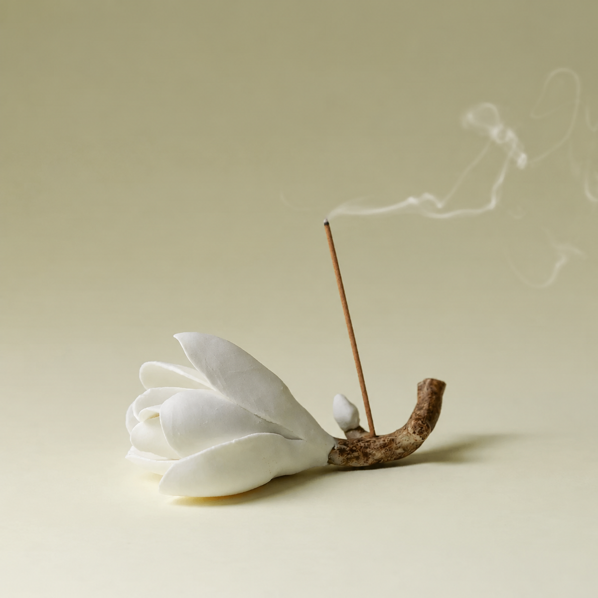 White Magnolia