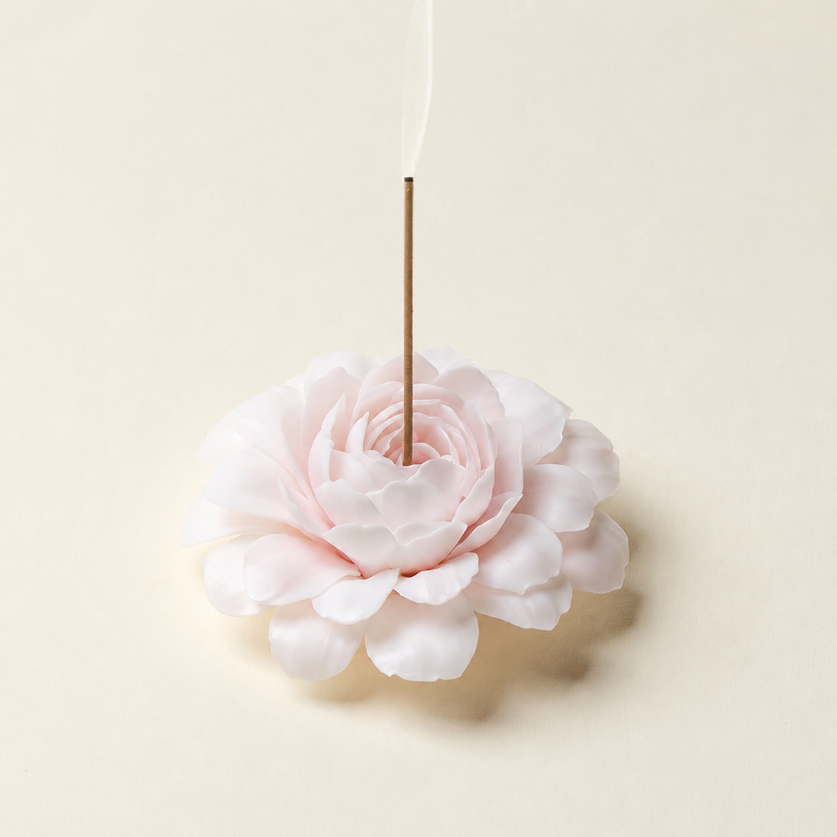 Pink Camellia