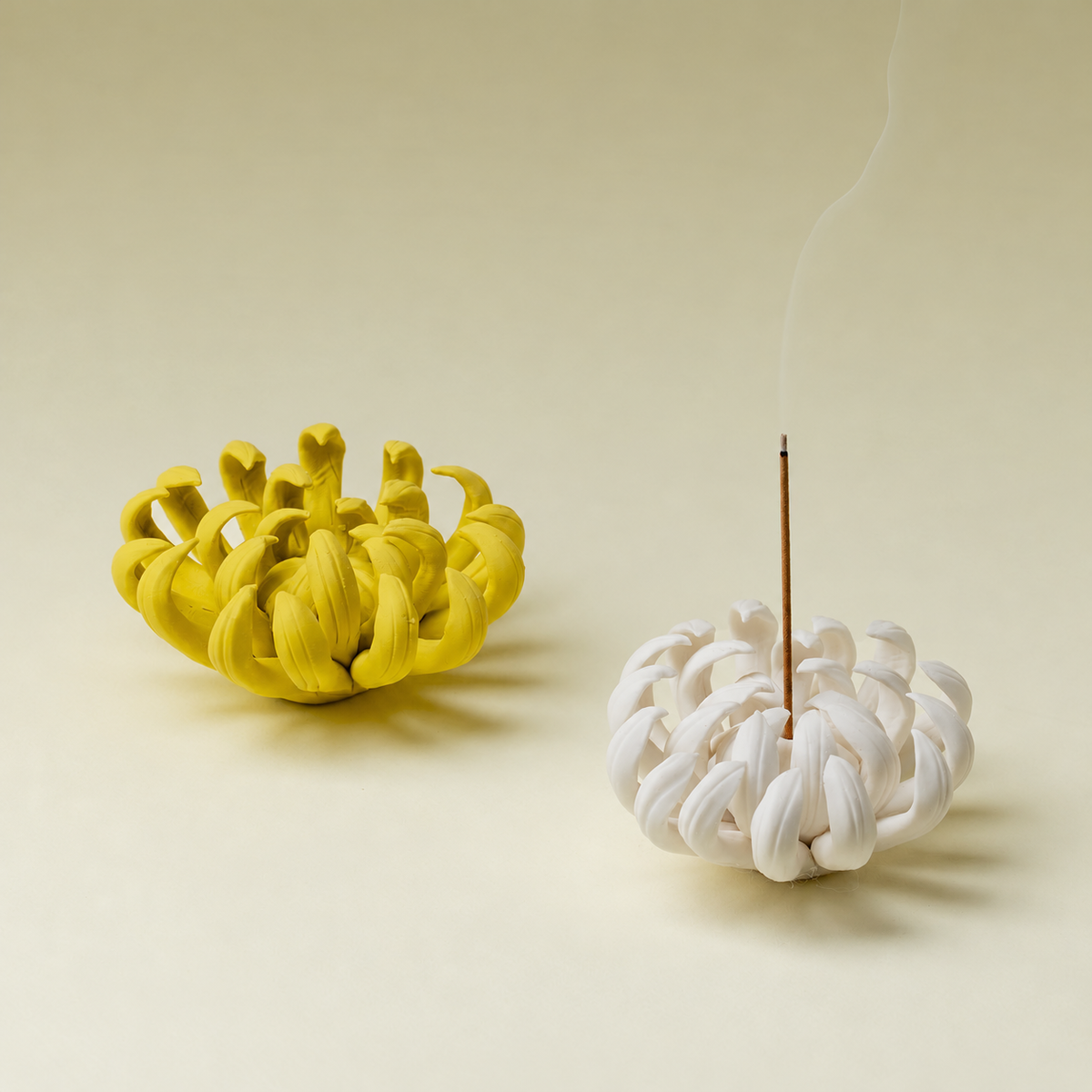 Chrysanthemum