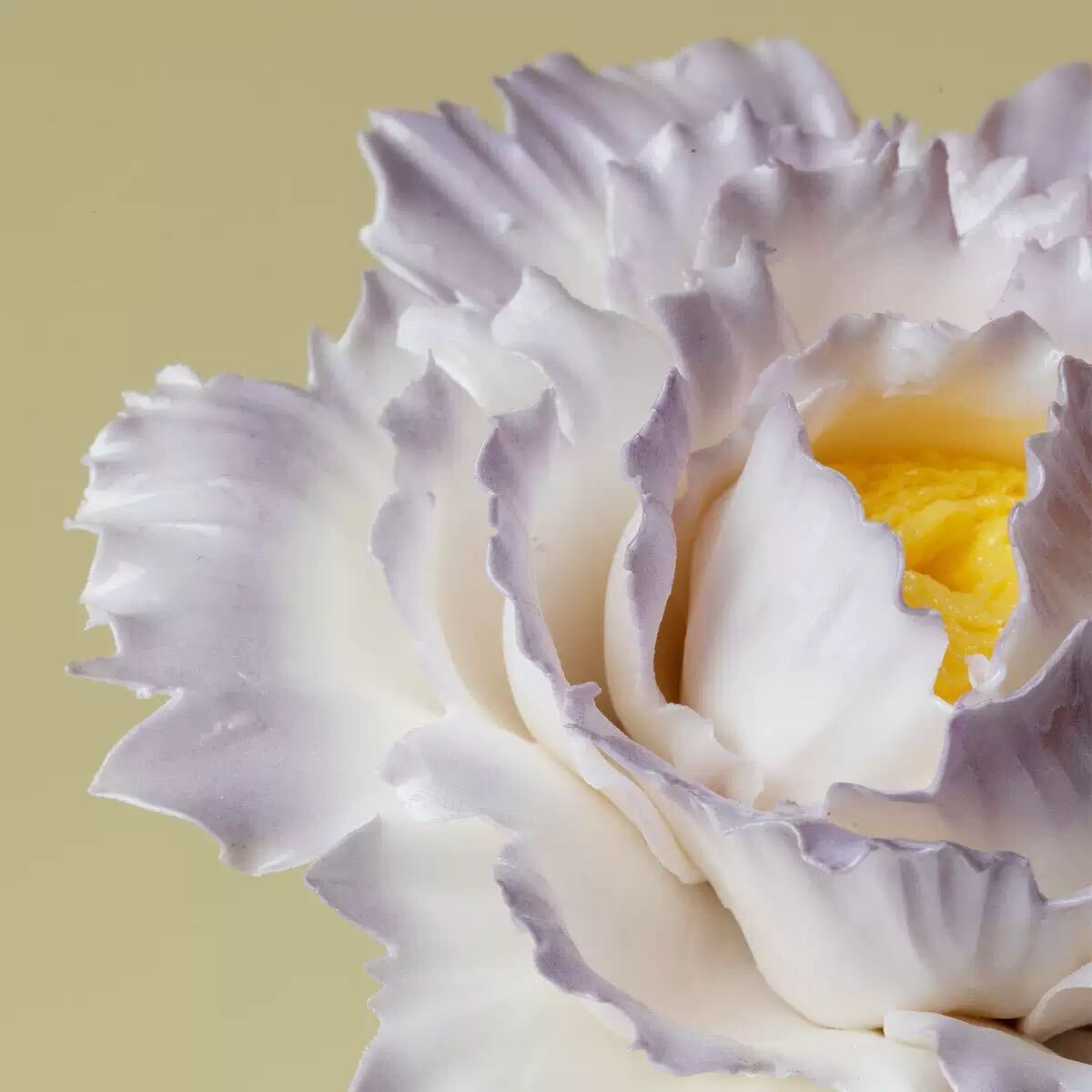 A close-up of a ruffled flower with soft white to pale lavender petals and a bright yellow center, set against a plain warm beige background.
