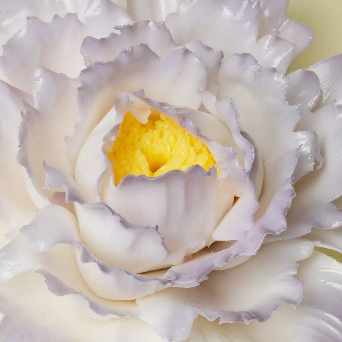 Close-up of a white cabbage flower with a yellow center
