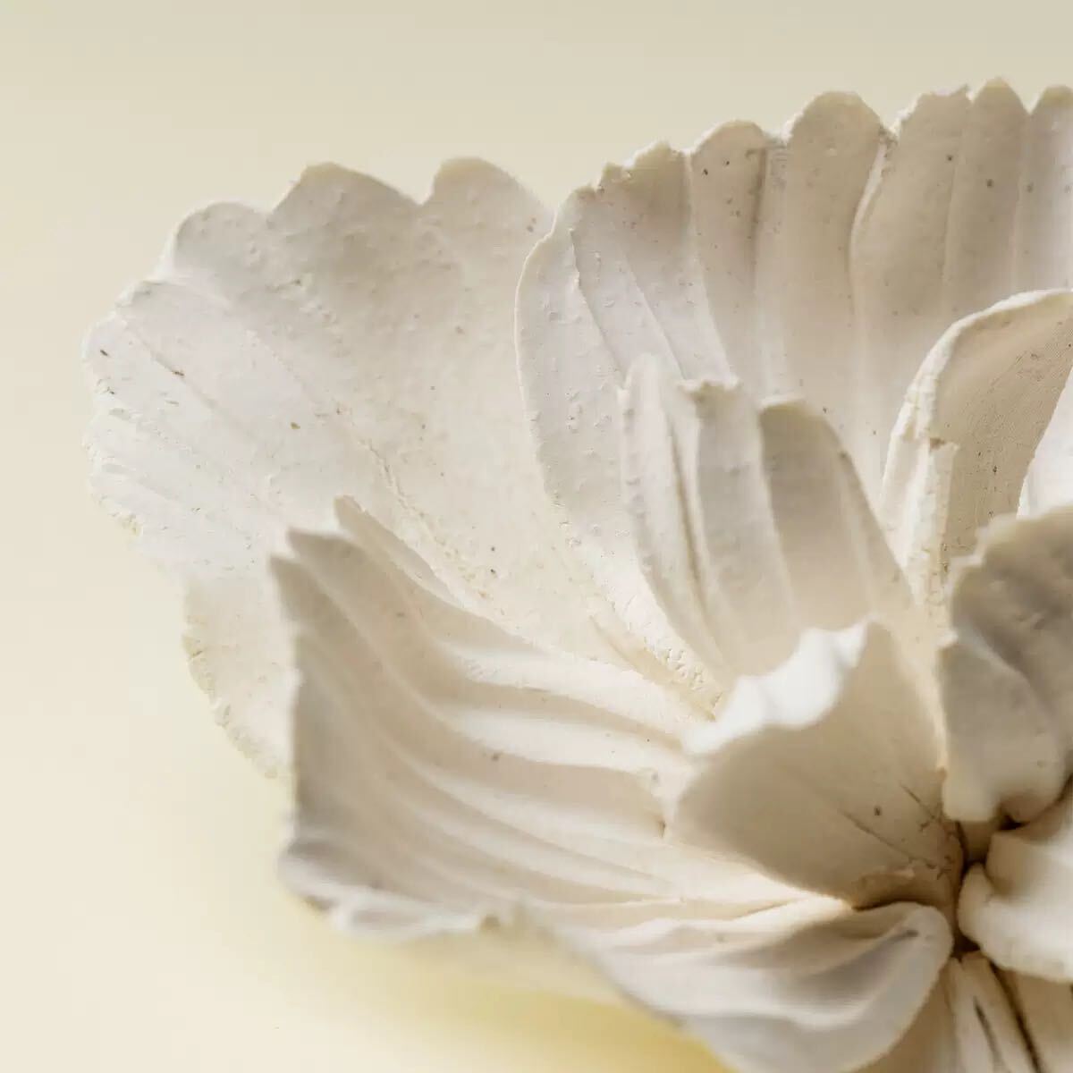 White Peony