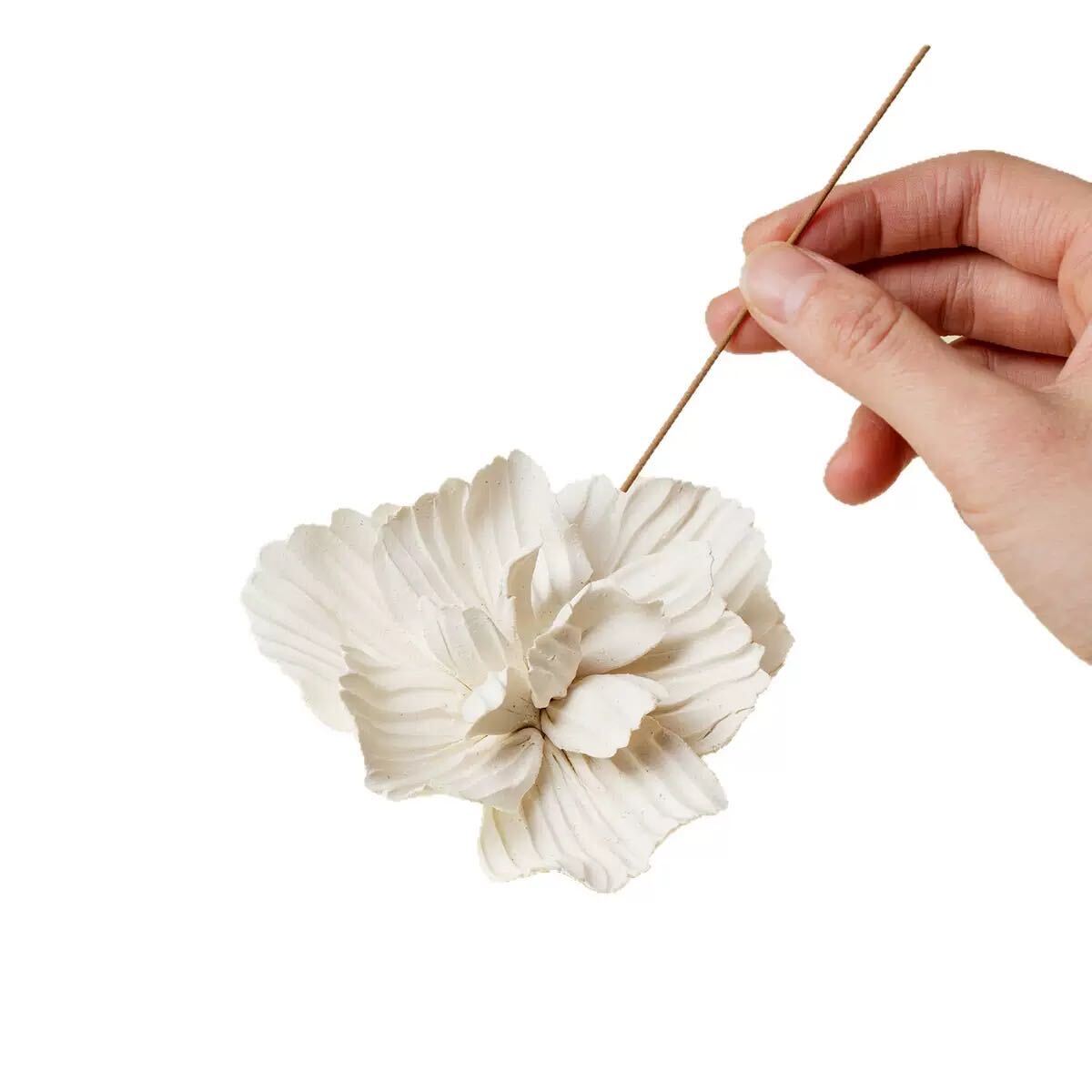 White Peony