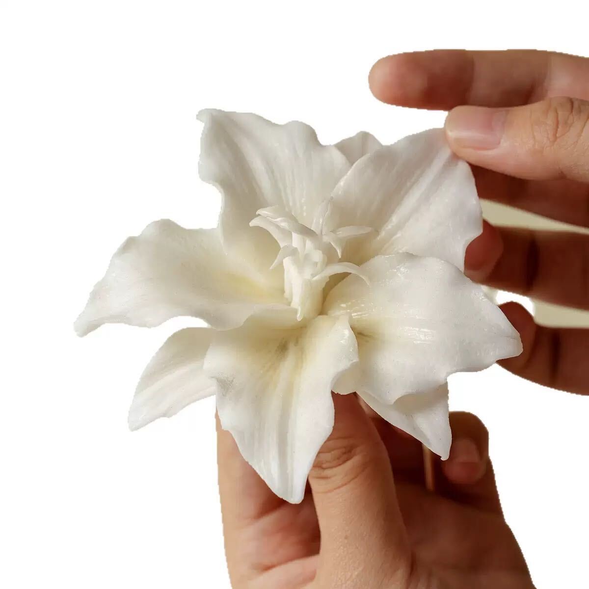 White Lily