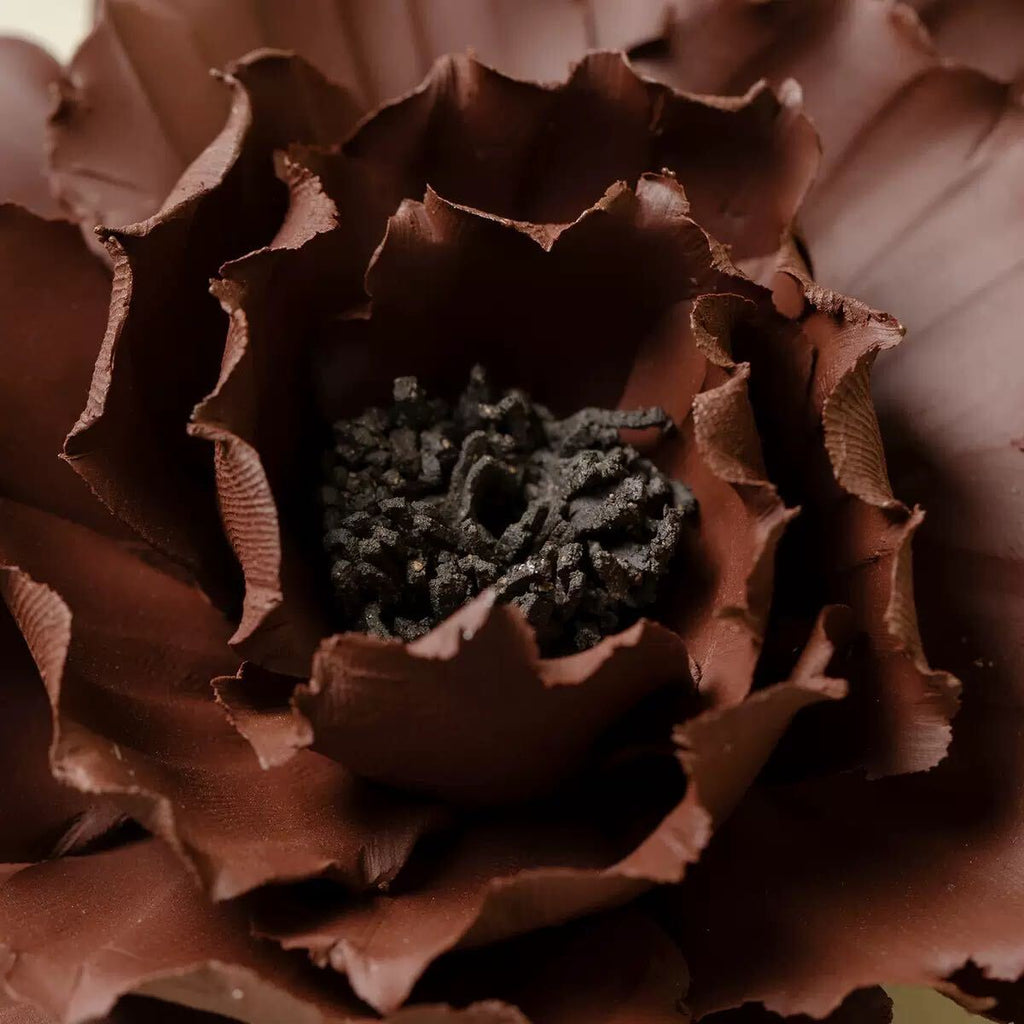Brown Peony