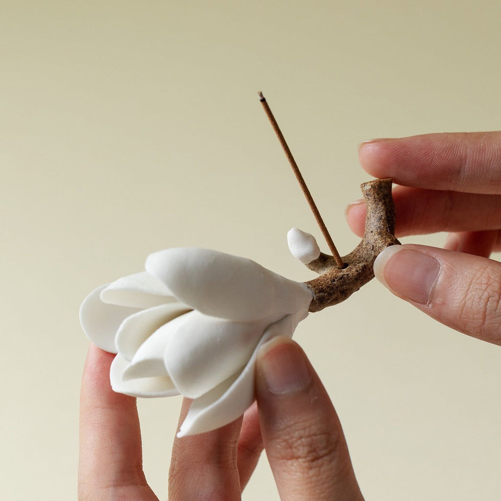White Magnolia