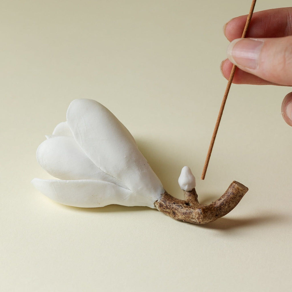 White Magnolia