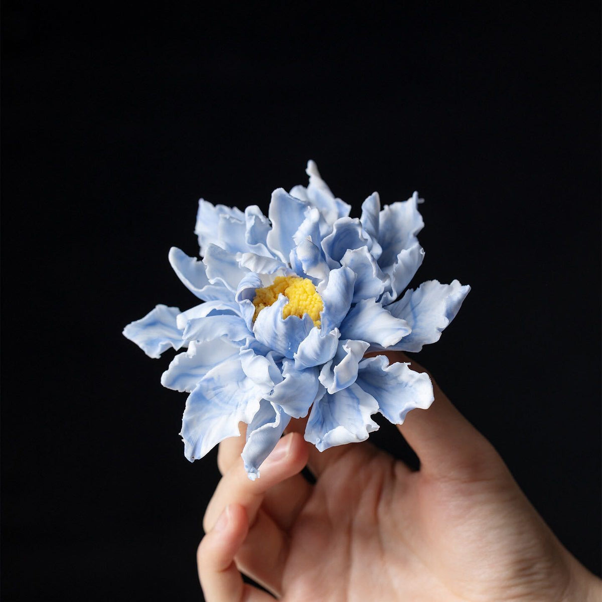 Blue Peony