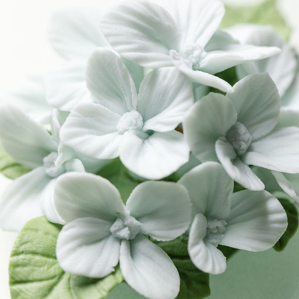 Light Blue Hydrangea