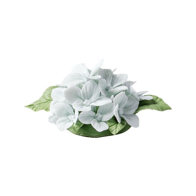 Light Blue Hydrangea