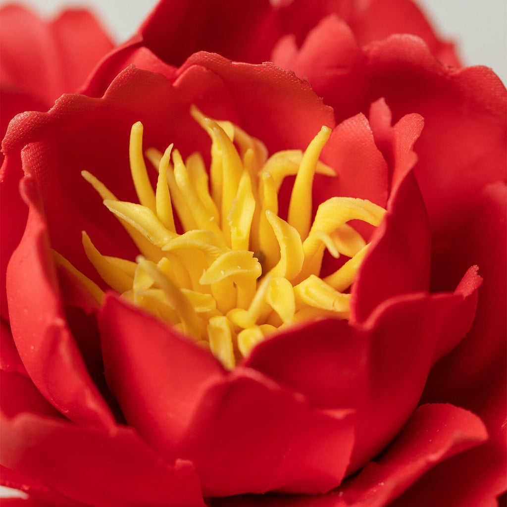 Red Peony