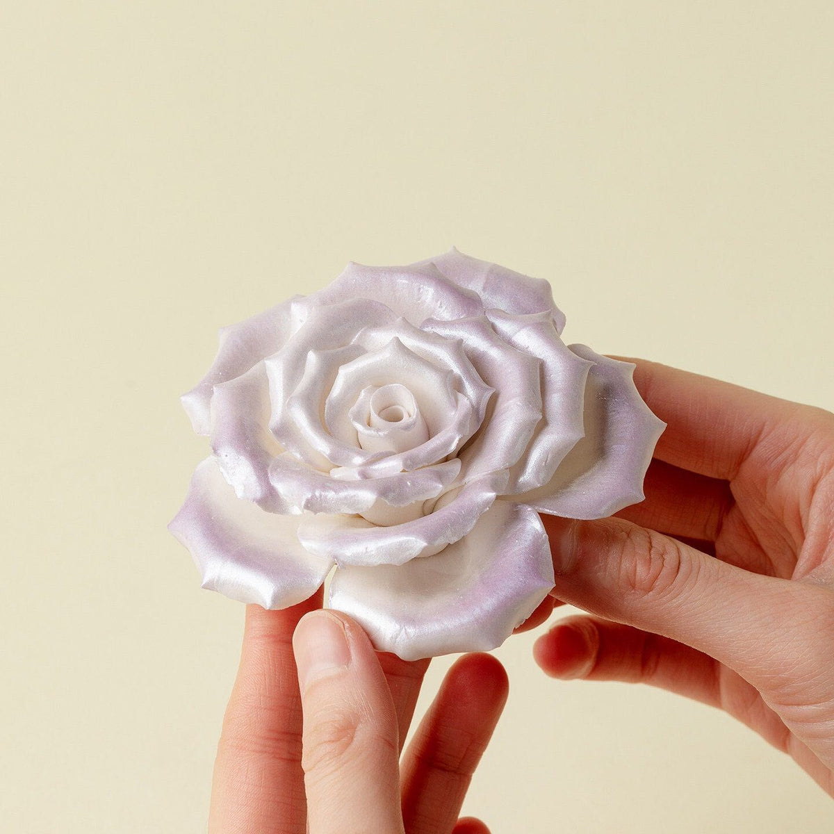 Mauve Rose