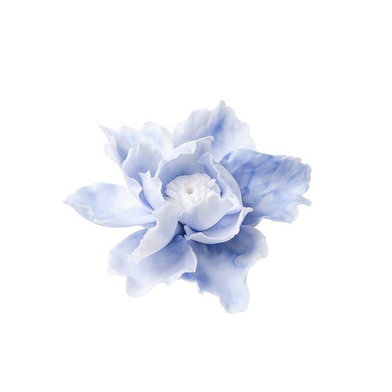 Herbaceous Peony