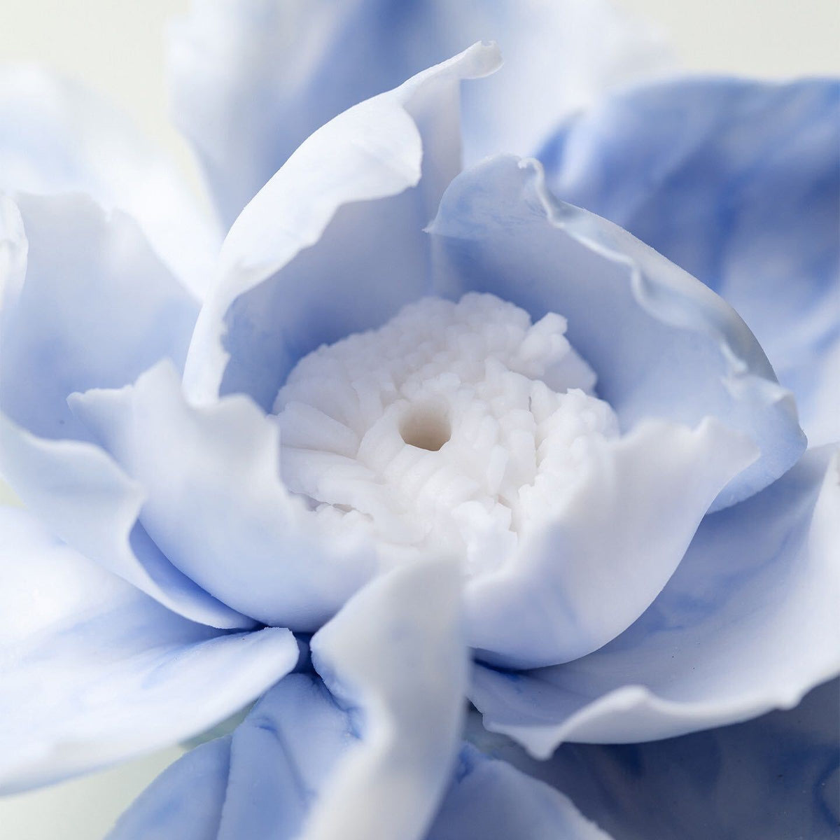 Herbaceous Peony