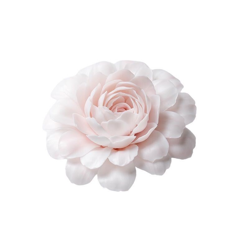 Pink Camellia