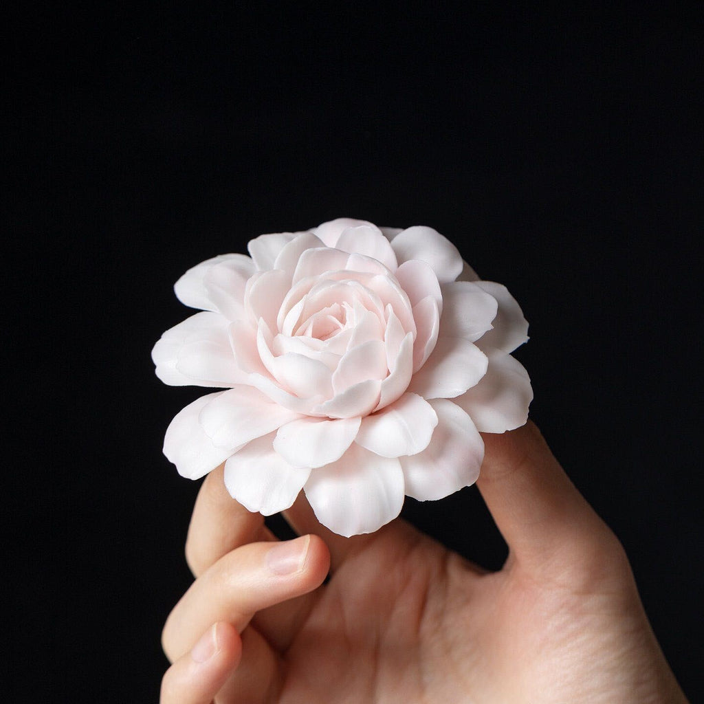 Pink Camellia