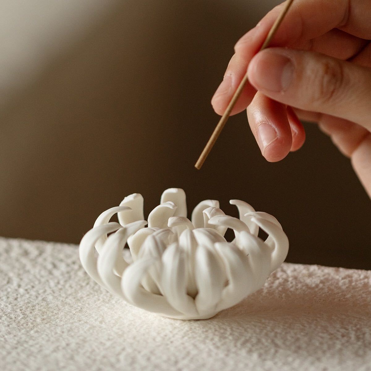 Chrysanthemum