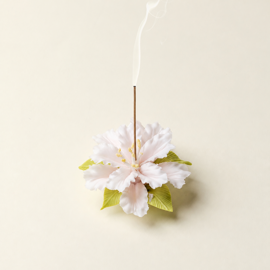 Cotton Rose Hibiscus