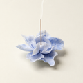Herbaceous Peony