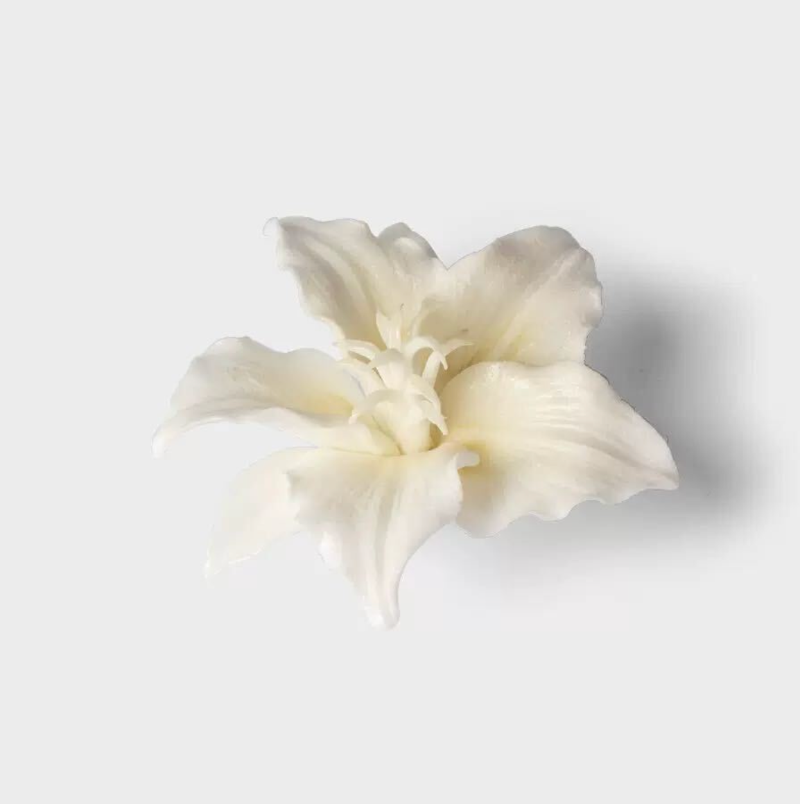 White Lily