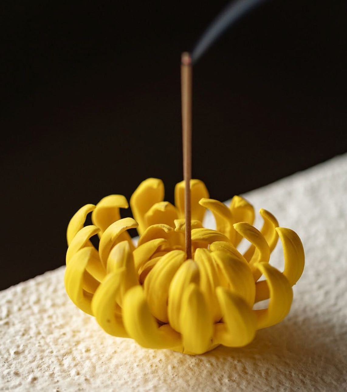 Chrysanthemum