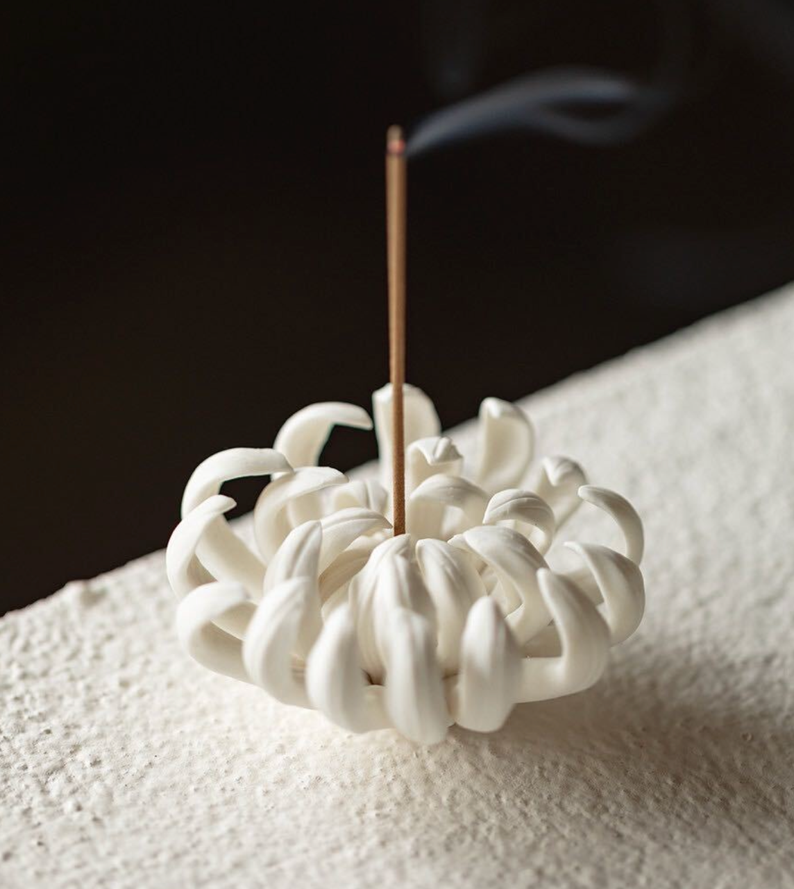 Chrysanthemum